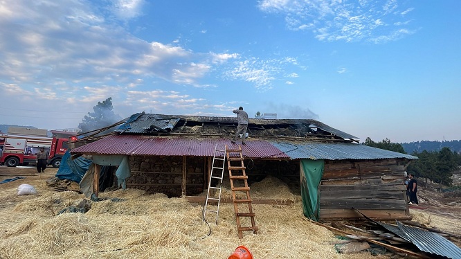 SAİMBEYLİ’DE ÇIKAN YANGIN SÖNDÜRÜLDÜ