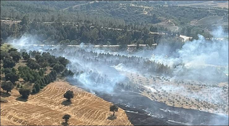 Adana’da orman yangını