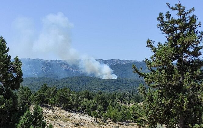SON DAKİKA…ORMANLIK ALANDA YANGIN ÇIKTI