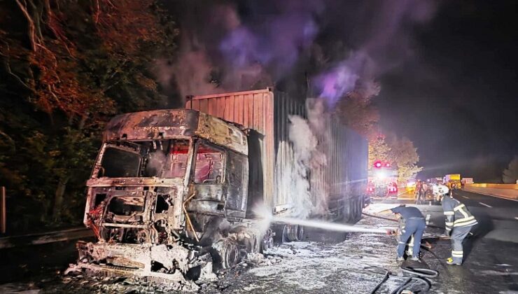 TIR YANDI, ORMANA SIÇRADI!