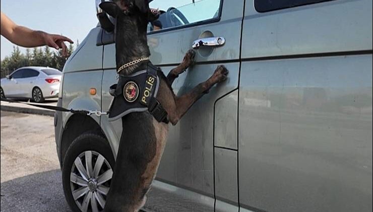 387 bin 464 uyuşturucu hap ele geçirildi