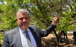 Barut: “Zarar gerçek destek sözde”