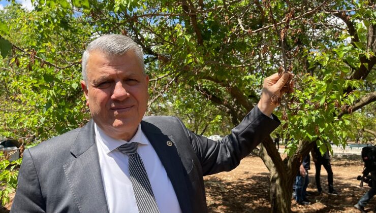 Barut: “Zarar gerçek destek sözde”