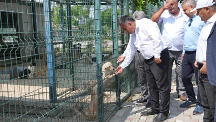 Geçer, Hayvan Barınağı’nda incelemelerde bulundu