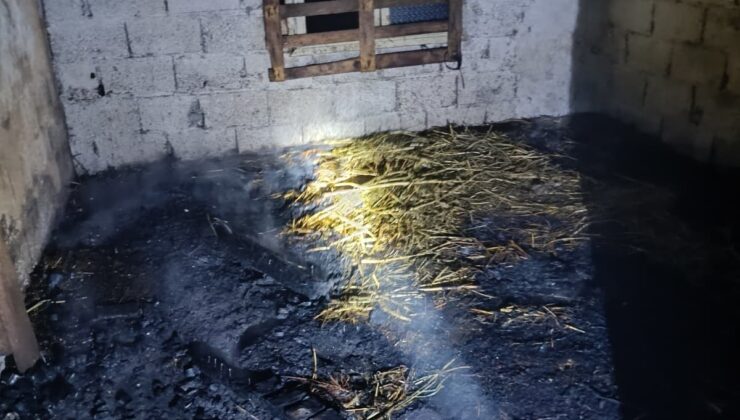 Ahırda çıkan yangında 7 küçükbaş telef oldu