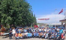 Toros Tarımda bacalar tekrar tütüyor