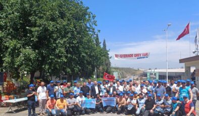 Toros Tarımda bacalar tekrar tütüyor