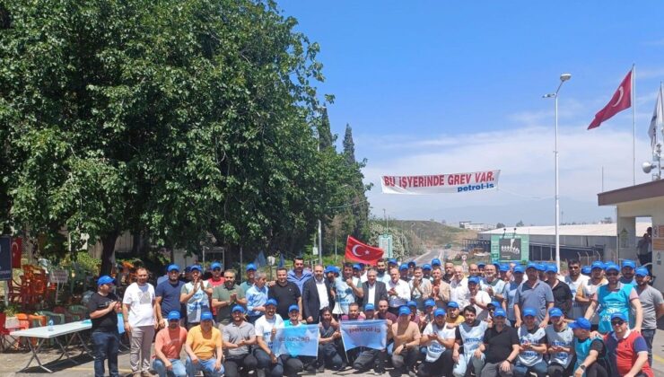 Toros Tarımda bacalar tekrar tütüyor