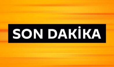 İNTERNET DOLANDIRICILARINA HAPİS CEZASI