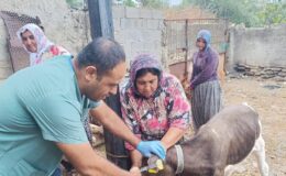 KOZAN’DA HAYVAN SAĞLIĞI DENETİMİ