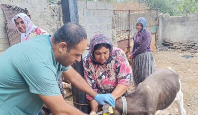 KOZAN’DA HAYVAN SAĞLIĞI DENETİMİ