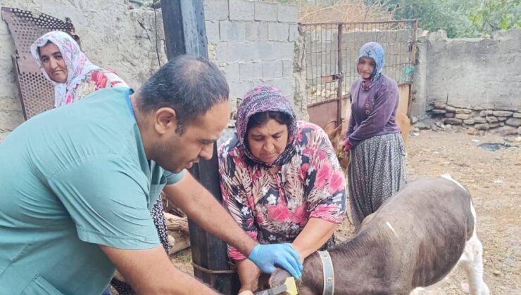 KOZAN’DA HAYVAN SAĞLIĞI DENETİMİ