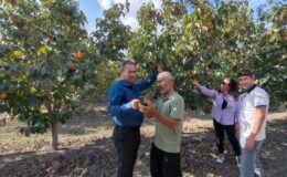 Trabzon Hurması konusunda Kozanlı çiftçiler bilgilendirildi