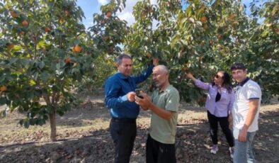 Trabzon Hurması konusunda Kozanlı çiftçiler bilgilendirildi