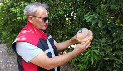 Kozan’da tarımsal üretime destek çalışması