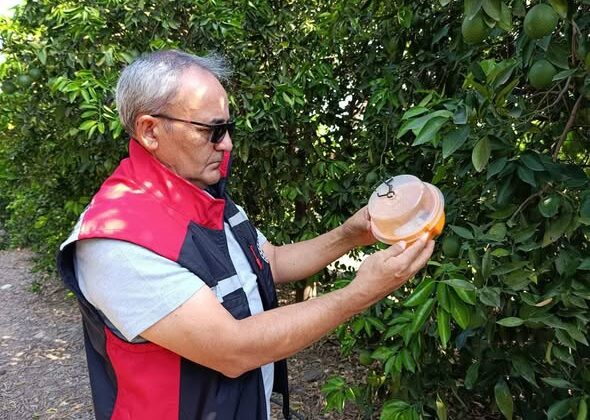 Kozan’da tarımsal üretime destek çalışması