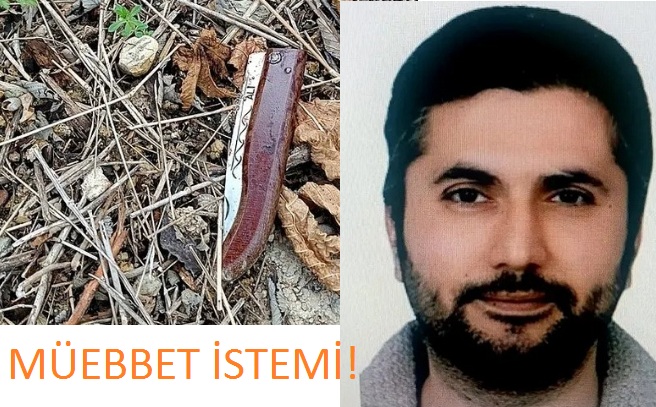 Ağabey katili kardeşe müebbet istemi