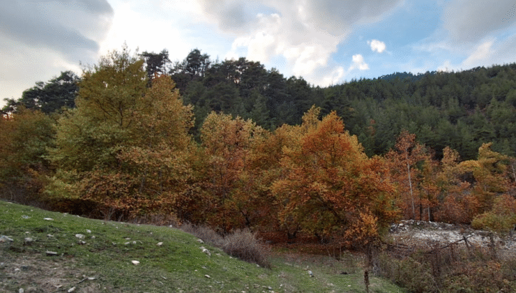 Saimbeyli sonbahar renklerine büründü