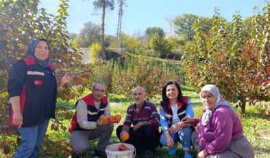 Sertifikalı fidan kontrolü çalışması