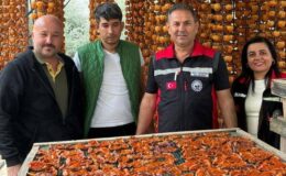 Tarım yetkililerinin hurma üreticilerine ziyaret