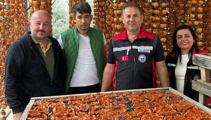 Tarım yetkililerinin hurma üreticilerine ziyaret