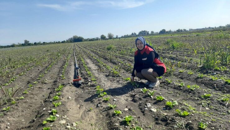 Kozan’da bitki hastalığı ve zararlıları kontrolü