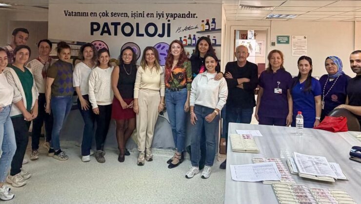 Patoloji servisi arı gibi