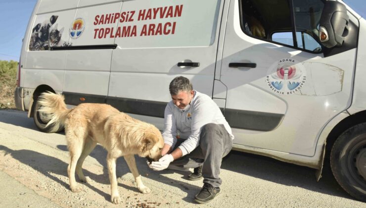 İSTANBUL VALİLİĞİ ADANA’YA EMSAL OLSUN!