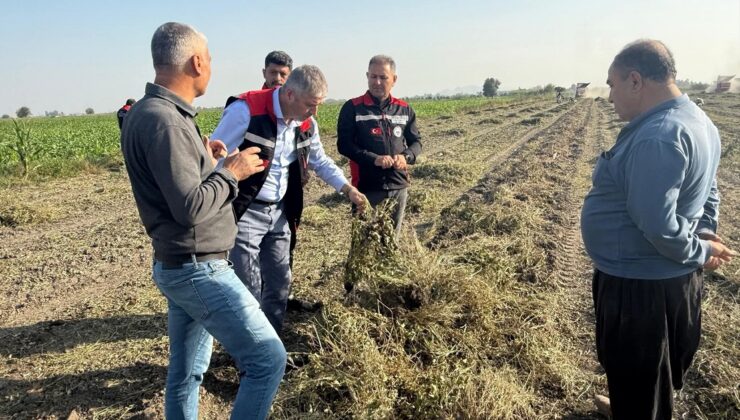 Tarım müdürlüğü yetkilileri araziye çıktı