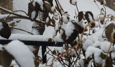 3 ilçede taşımalı eğitime ara verildi