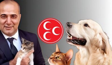 MHP’den Can Dostlarımız İçin Duyarlılık Çağrısı