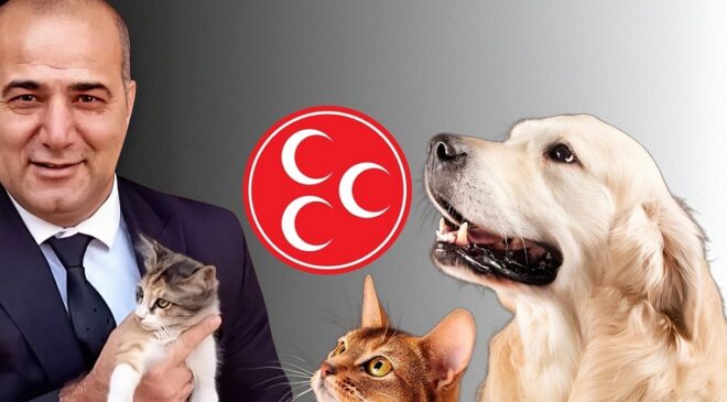 MHP’den Can Dostlarımız İçin Duyarlılık Çağrısı