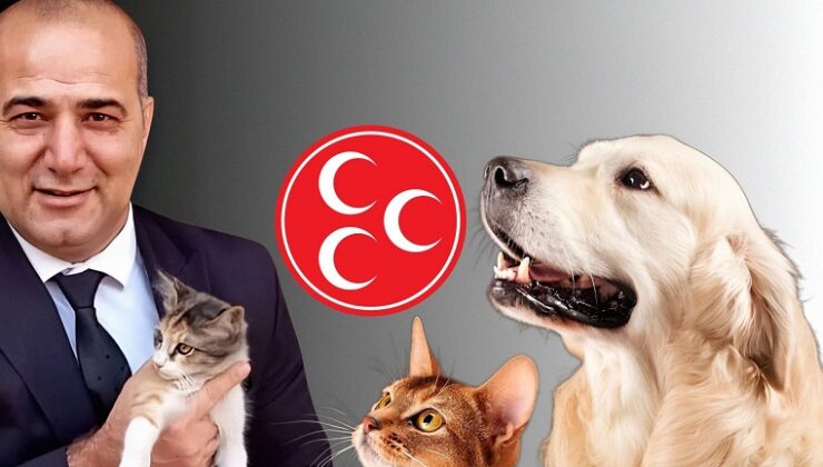 MHP’den Can Dostlarımız İçin Duyarlılık Çağrısı