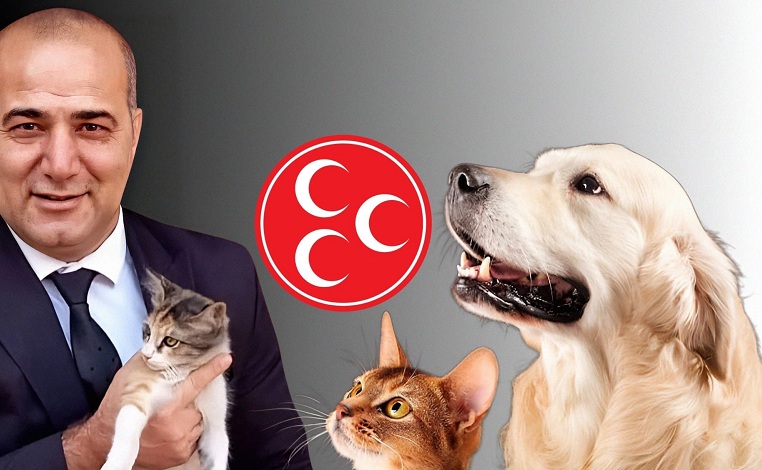 MHP’den Can Dostlarımız İçin Duyarlılık Çağrısı