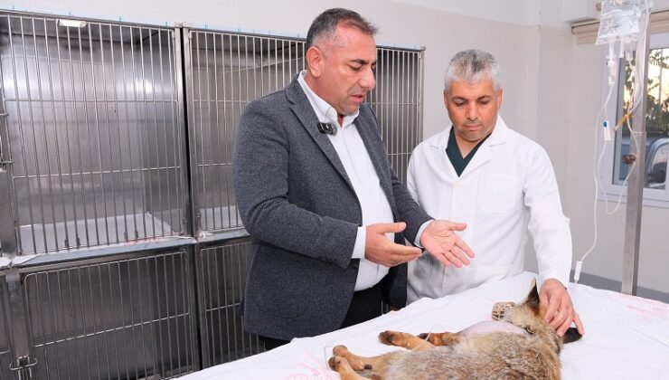 Geçer’den can dosta sahiplenme