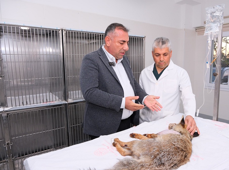 Geçer’den can dosta sahiplenme