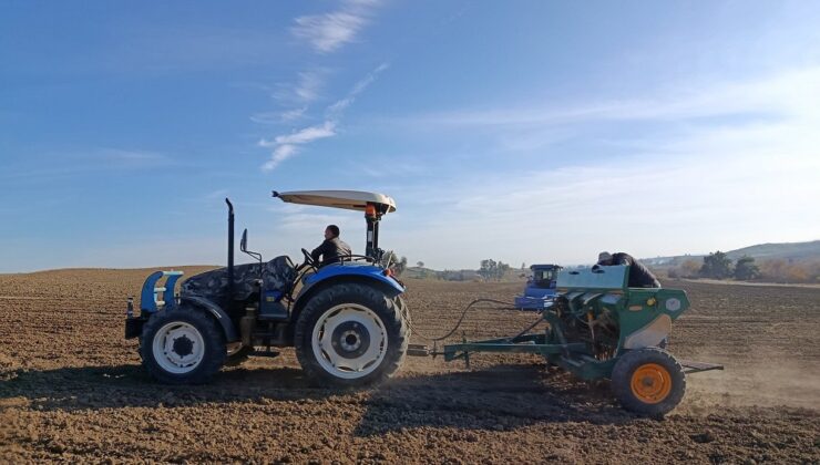 Kozan’da nohut üretimi revaçta