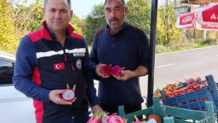 Kozan İlçe Tarım Müdürlüğü kontrole çıktı