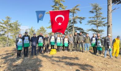 50 ton sedir tohumu toprakla buluştu