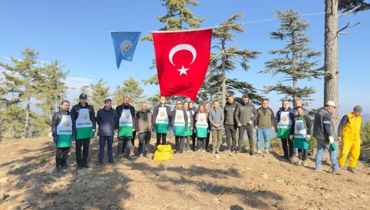50 ton sedir tohumu toprakla buluştu