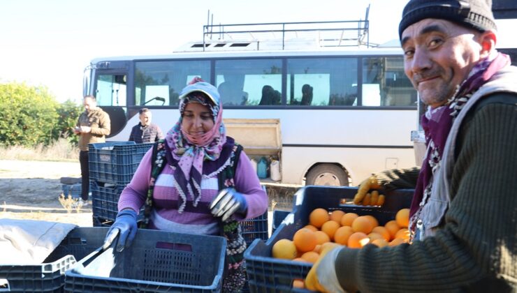 PORTAKAL HASADI VAR AMA PORTAKAL PARA ETMİYOR