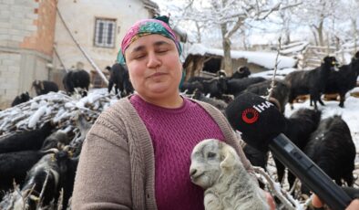 Kadın besicinin zorlu mesaisi