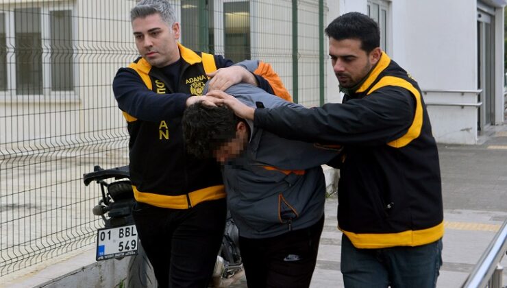 Kedi ezen sürücüye hayvan barınağında çalışma cezası