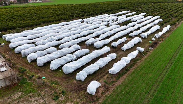 Zirai dona fileli önlem