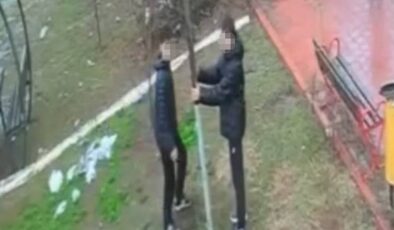 Adana’da parktaki kuş yuvasını parçaladılar