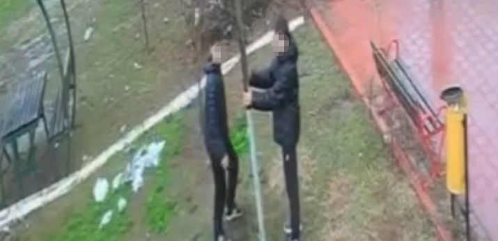 Adana’da parktaki kuş yuvasını parçaladılar