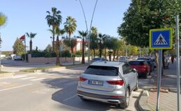 Yaya geçidinde çarpıp kaçtı