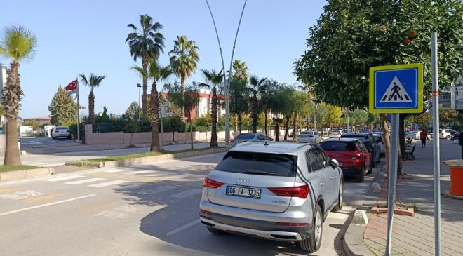 Yaya geçidinde çarpıp kaçtı