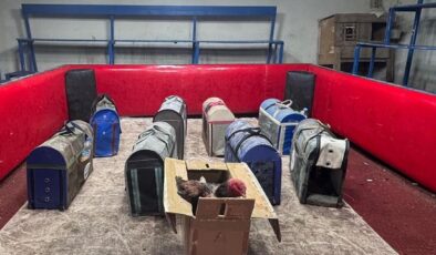 POLİS TEMİZLİKÇİ KILIĞINDA!