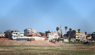 Coniler, Conolara komşu oluyor